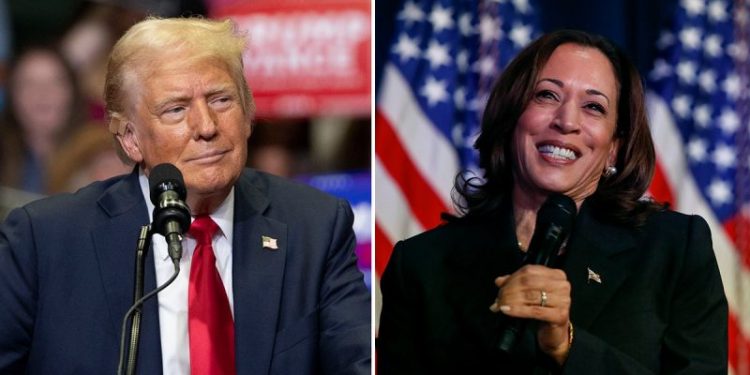 Allies urge Trump to minimize DEI attacks, focus on Harris’ ‘terrible’ record: ‘Wrong hole to go down’