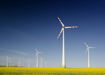 NextEra Energy CEO predicts renewable energy demand to triple by 2030 despite Q2 revenue miss