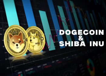 Dogecoin and Shiba Inu stable as of this morning on support