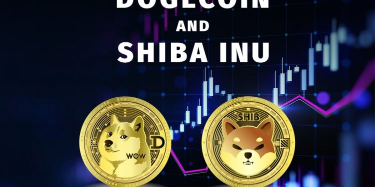 Dogecoin and Shiba Inu: Dogecoin pulled back to a new low