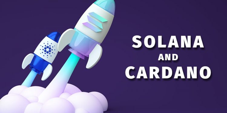Solana and Cardano: Solana manages to stop the retreat