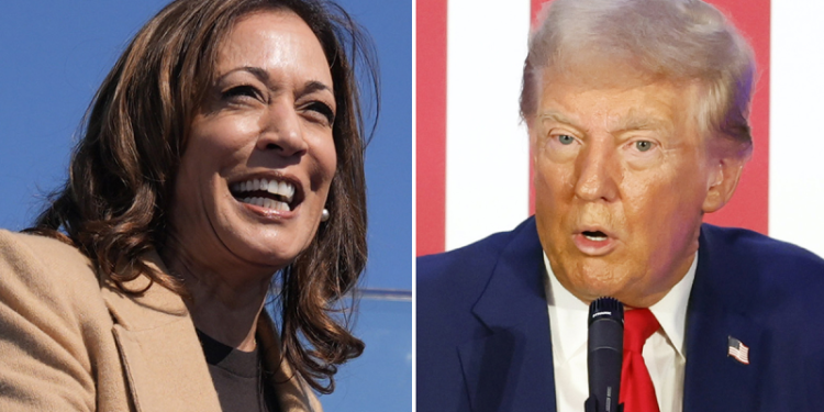 Allan Lichtman predicts Harris as 2024 winner because ‘Democrats got smart’ and did this