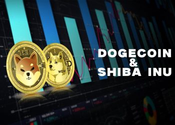 Dogecoin and Shiba Inu: Daily Targets and Prices