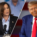 Voters report Kamala Harris is more radical than Trump: ‘too liberal or progressive’
