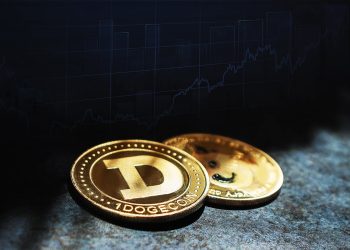 Dogecoin and Shiba Inu: Dogecoin in retreat since last night