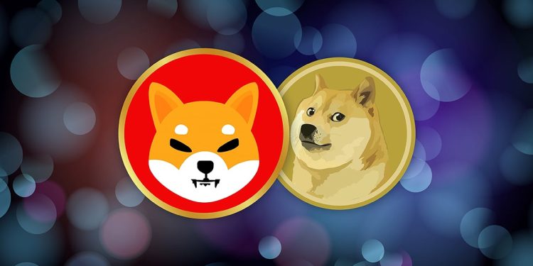Dogecoin and Shiba Inu: New Highs and Support on Tuesday