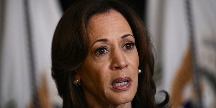 As a cautious Kamala loses momentum, Democrats are panicking over a Trump win