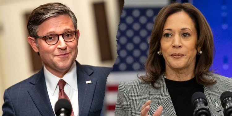 ‘No such promise’: Johnson blasts Dem accusations he vowed to end ObamaCare as ‘dishonest’