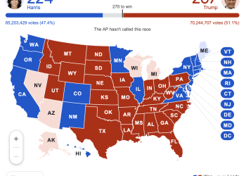 Elections in USA: Trump Leads as Markets Surge