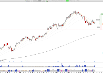 Long NHI: National Health Investors (NHI) Q3 Earnings, Strong Fundamentals, Investment Growth, and Solid Balance Sheet Signal Bullish Potential