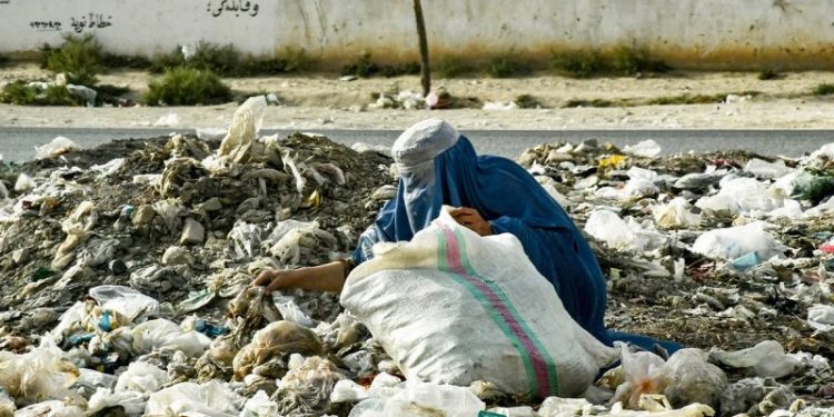 Afghans for Trump group looking to make foreign policy — and 2021 withdrawal — front and center in election