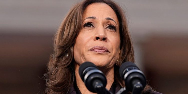 Harris campaign officials explain what went wrong – and what Trump did right: report
