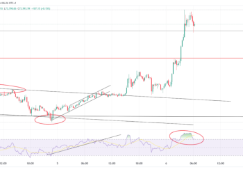 Bitcoin & Ethereum Rally: Will Gains Hold Amid US Election?