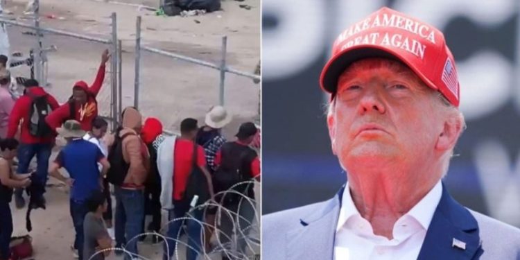 Trump’s tariff threats go beyond ‘trade agreement’ to advance American interests: expert