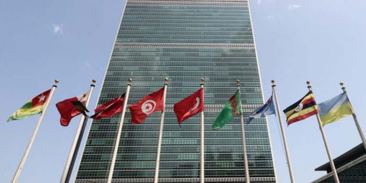 Former high-level United Nations officials to launch ‘DOGE-UN’ to highlight agency inefficiencies