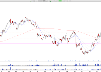 Long BRZE: Braze Inc. Breaks Out After Strong Q3, Bullish Setup Targets $50 and Yearly Highs