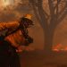 How many billions will California fires cost the US economy?