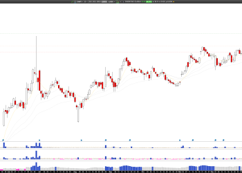Long CHWY: Chewy Inc. Surges on Wolfe Research Upgrade, Eyes $40 Target