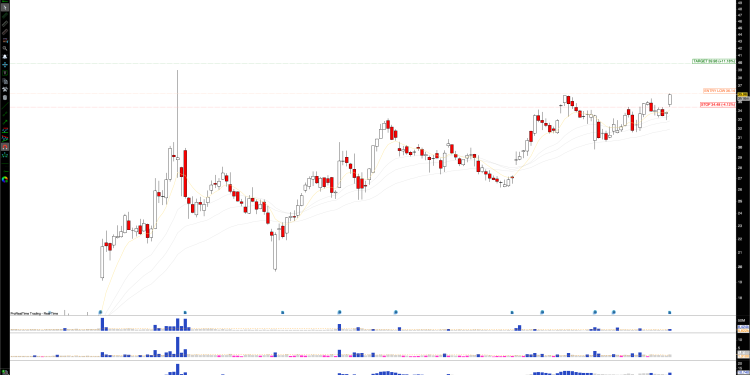 Long CHWY: Chewy Inc. Surges on Wolfe Research Upgrade, Eyes $40 Target