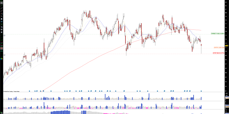 Long AIG: AIG’s Double Bottom Signals Rebound, Targeting $80