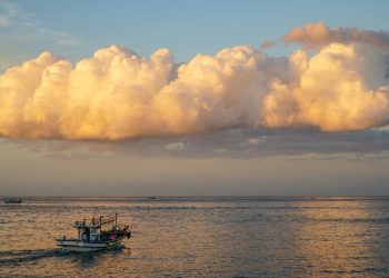 How Jeju Island’s NFT travel cards are redefining tourism in South Korea