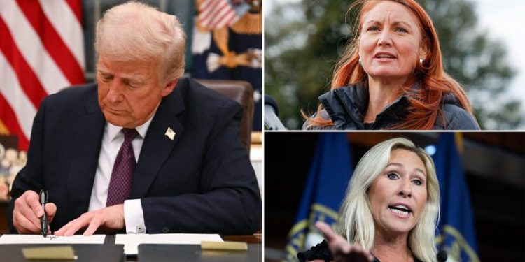 Democrats join DOGE subcommittee, including member seeking ‘good government’