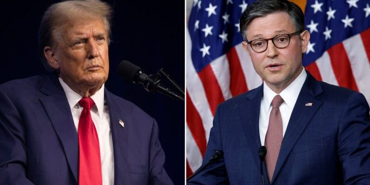 DOGE stimulus checks: Johnson side-steps question on Trump plan, says US has ‘giant deficit’