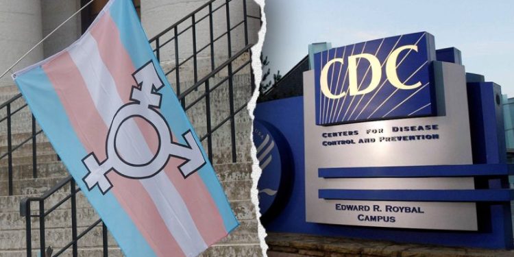 CDC staff told to remove terms like ‘non-binary,’ ‘they/them,’ ‘pregnant people’ from public health material