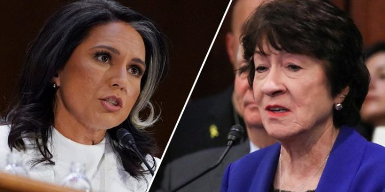 Crucial moderate GOP senator backs Tulsi Gabbard ahead of committee vote