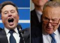 Elon Musk dunks on Sen Chuck Schumer, declaring ‘Hysterical reactions’ demonstrate DOGE’s importance