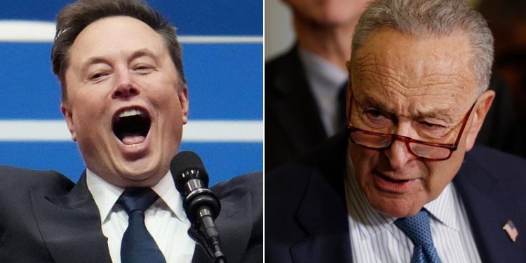 Elon Musk dunks on Sen. Chuck Schumer, declaring ‘Hysterical reactions’ demonstrate DOGE’s importance