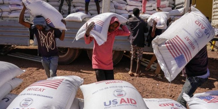 Analysts back Trump’s USAID cuts in Africa, say increased trade will better benefit continent’s poor