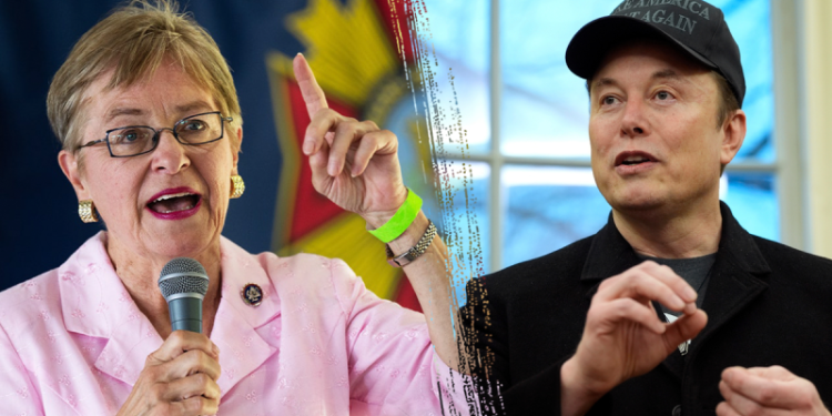 ‘New low’: Longtime House Dem ripped for ‘disgusting’ questioning of Musk’s loyalty to US as an immigrant