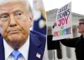 Trans lawsuit lobbed against Trump admin based on ‘faulty interpretations’: Legal expert