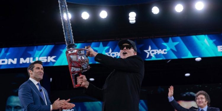 Americans want smaller government but new polls shows whether they like how Musk, DOGE, are going about it