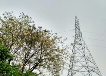 From NTPC to Tata Power: 5 power stocks to watch as India braces for extreme summer