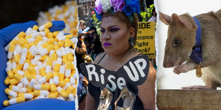 Trump admin cuts additional $1M in federal funding for ‘transgender animal’ experiments