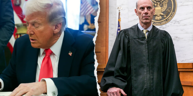 ‘Woefully insufficient’: US judge reams Trump admin for days-late deportation info