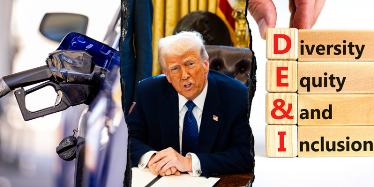 Top agency staffer trying to block crucial Trump directive once managed DEI team