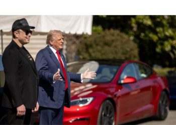 Musk calls Trump’s trade adviser Navarro ‘truly a moron’ and ‘dumber than a sack of bricks’ over tariff row