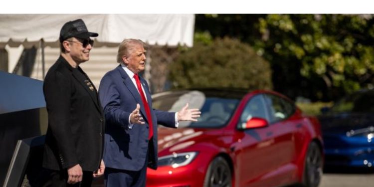 Musk calls Trump’s trade adviser Navarro ‘truly a moron’ and ‘dumber than a sack of bricks’ over tariff row