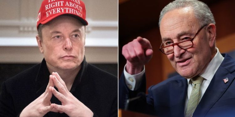 Elon Musk scraps with Chuck Schumer, suggesting the senator profits from government fraud