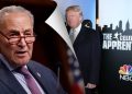 Schumer’s ‘Apprentice’ praise of Trump goes viral: ‘Going to go places’