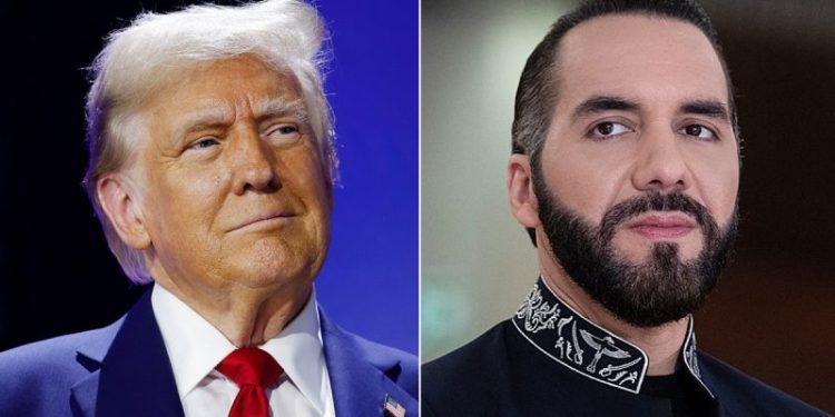 Trump invites El Salvador’s Bukele to White House for ‘working visit’