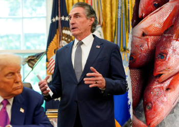 Interior cancels $14M annual fishing grant cited in Fox report after DOGE highlights Disney ads, salaries