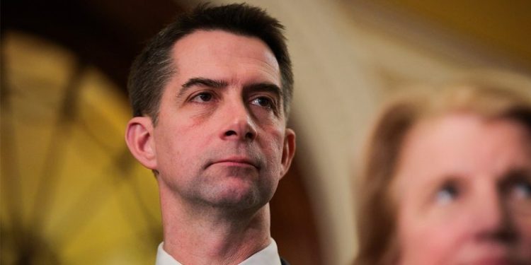 Senate Republican moves to give US an edge on China in harvesting minerals for weapons systems