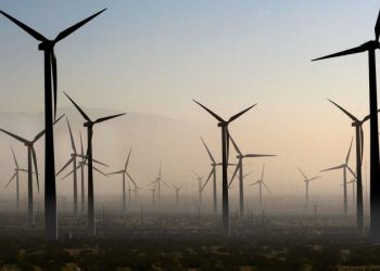 Gargantuan ‘bird cemeteries’ in Burgum’s crosshairs as DOI looks to curb green wind projects