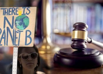 Top energy group calls for probe into secretive ‘national lawfare campaign’ to influence judges on climate