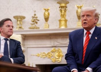 Netherlands becomes first NATO ally to buy US weapons for Ukraine