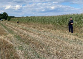 Russian drone crashes in Polish field; Warsaw protests airspace violation and plans formal complaint